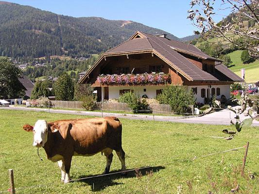Apartmán Unterwirt Bad Kleinkirchheim Exteriér fotografie