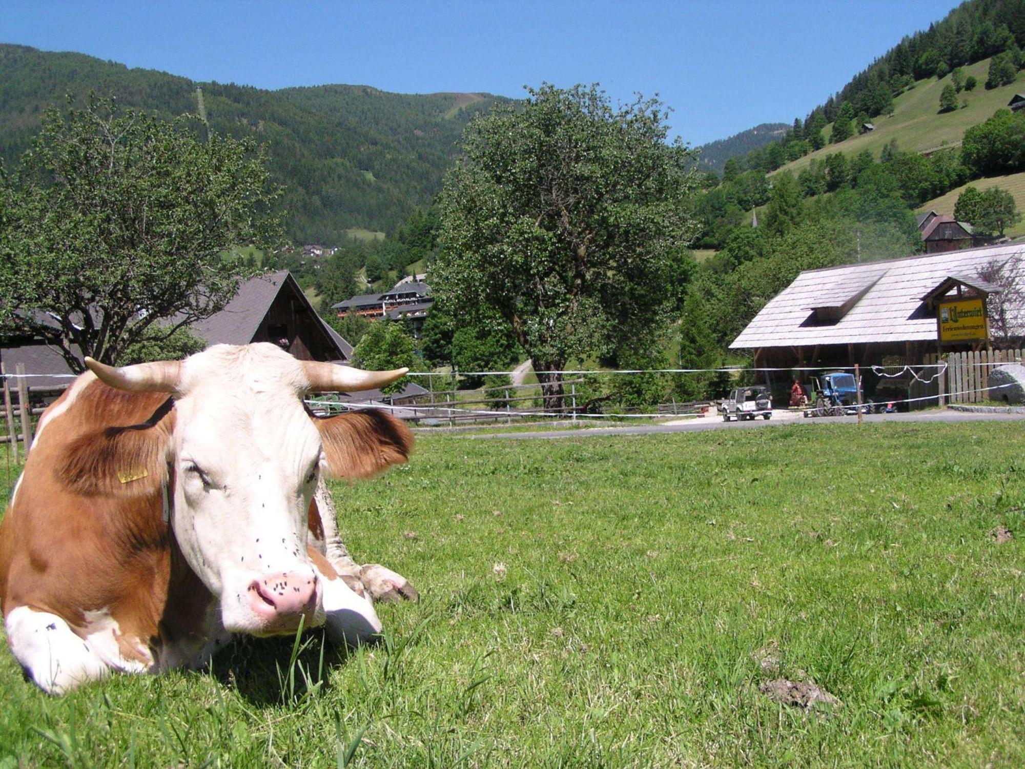 Apartmán Unterwirt Bad Kleinkirchheim Exteriér fotografie